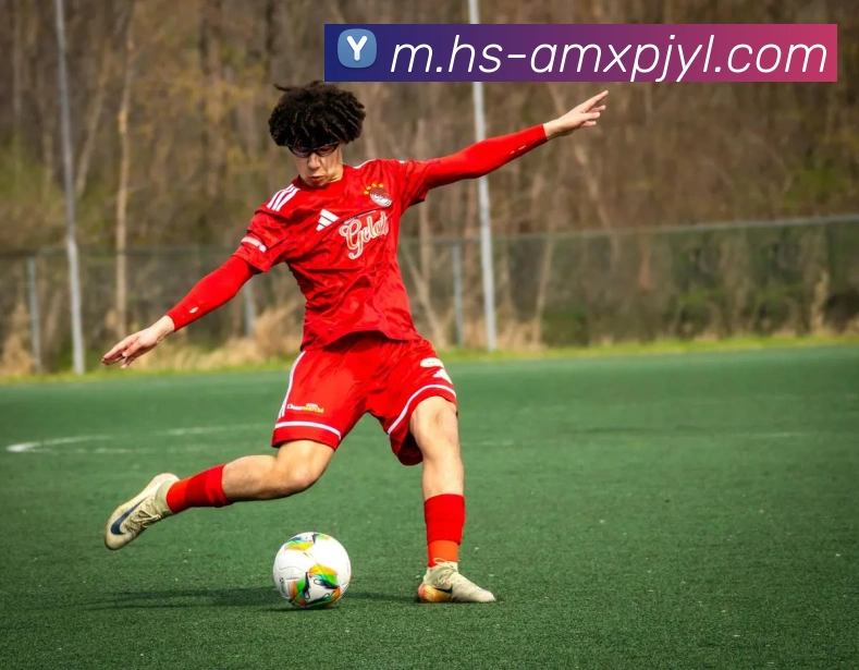 新葡京娱乐发展历程